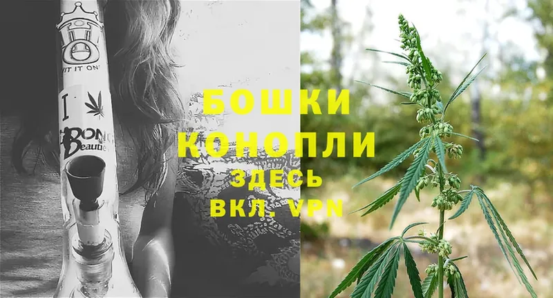 Конопля SATIVA & INDICA  кракен tor  Куса  купить закладку 